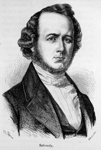 Portrait de Narcisse Achille, comte de Salvandy, homme politique français (1795 - 1856) - Unknown artist
