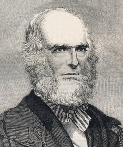 Portrait de William Cullen Bryant (1794-1878), poète américain. Gravure dans « The Illustrated London News » du 23 janvier 1858. - Unknown artist