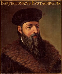 Portrait de l