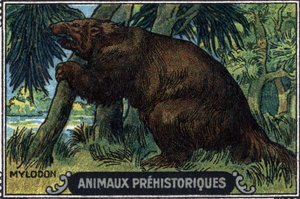 Animal préhistorique : un mylodon.