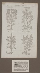 Page imprimée 1217 de 