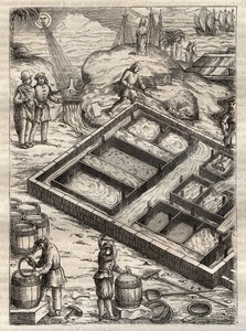 Production de sel par évaporation de l