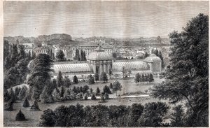 Jardin public de Bordeaux - gravure vers 1867