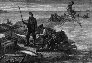 Retour de la pêche au saumon sur les rives du Rhin. Gravure dans le journal « La jeunesse »