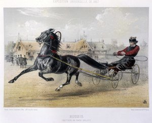 Trotteur de race Orloff - dans "Le Centaure" 1867 - Unknown artist