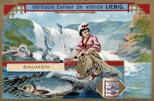 Pêche au saumon - chromo du 19e siècle - Unknown artist