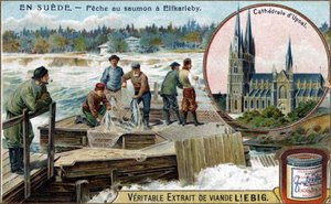Pêche au saumon à Elfkarleby, Suède. Chromolithographie, image Liebig. - Unknown artist