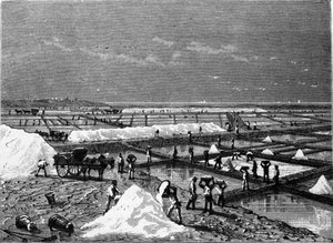 Production de sel : vue d