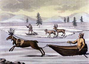 Peuple Sami : peuple indigène vivant dans les terres des pays du nord (Norvège, Finlande, Suède et Russie) se déplaçant en traîneau à rennes ou à skis. Gravure du 19ème siècle - Unknown artist