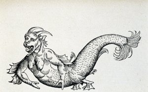 Diable de mer, supposément capturé dans la mer Adriatique au début du 15e siècle - selon Gesner