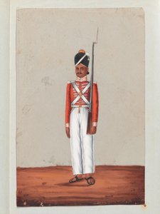 Sépoy, armée de Madras