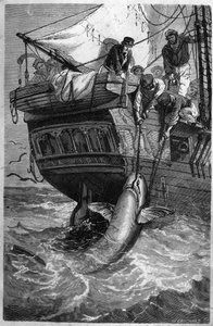 Pêche au requin. Gravure du XIXe siècle. Collection privée. - Unknown artist