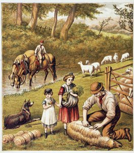 Tonte des moutons - chromolithographie - Unknown artist