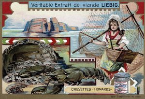 Crevettes et homards, avec une jeune pêcheuse, portant son panier et un grand filet - Chromolithographie Liebig - Unknown artist