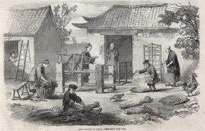 Production de soie en Chine et les différentes étapes de fabrication.