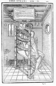 Coupe du crâne. Planche anatomique de « De dissectione partium corporis humani libri tres... » Carlo Stefano Riverio, Paris 1545 - Unknown artist