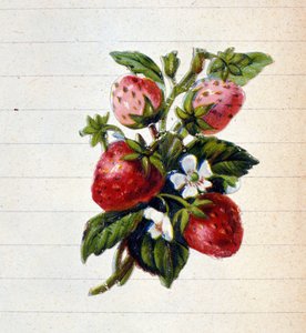 Fraises. Chromolithographie du 19ème siècle - Unknown artist