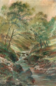 Ruisseau à travers un bois - Unknown