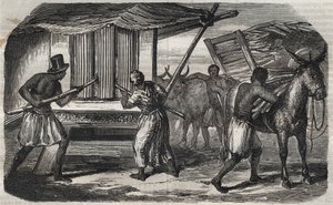 Fabrication du sucre : un moulin à canne à sucre dans une sucrerie aux Antilles. Gravure de 1859.