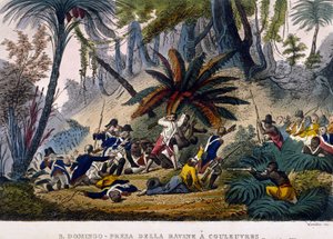 Prise de la Ravine à Reuvres le 23/02/1802. L