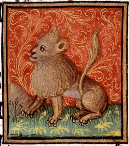 Le Lion. Miniature d