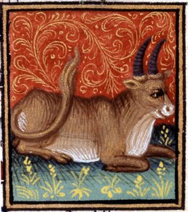 Le Taureau. Miniature d