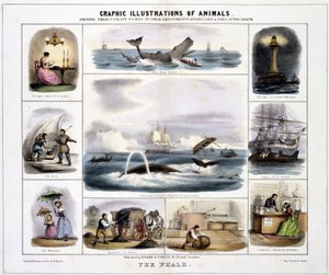 La baleine", vers 1845