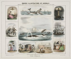 La baleine", vers 1845