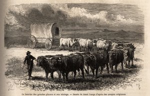Le grand bœuf des plaines et son attelage. Gravure pour illustrer le voyage au Far West américain, par M. L. Simonin, en 1867, publié dans « Le tour du monde, nouveau journal des voyages » - Unknown artist