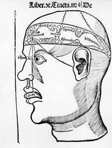 Le cerveau - dans "Le corps", livre X