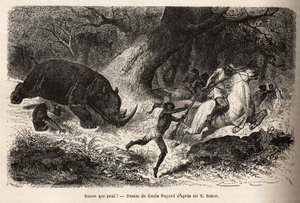 La charge du rhinocéros qui renverse et piège les chasseurs, lors de la recherche de l