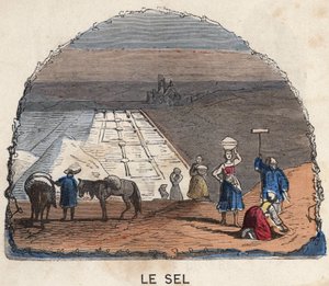La récolte du sel. Illustration du XIXe siècle. Collection Bianchetti. - Unknown artist