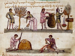 La récolte des olives, la production de miel et l