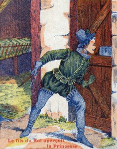 Le fils du roi vit la princesse. Illustration pour « Peau d