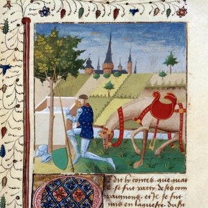 Le chevalier de la Table Ronde Gauvain (ou Gawain), neveu du roi Arthur près d