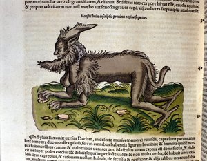 La manticore de l