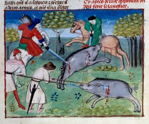Chasse au sanglier miniature du "Livre de la chasse" de Gaston III Phoebus, Comte de Foix, Seigneur de Béarn (1331-1391)