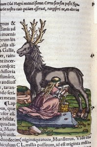 Le commerce du renne d