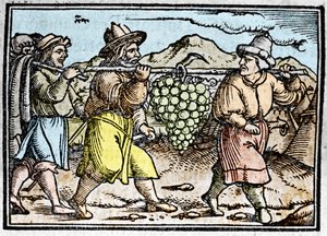 Le retour de Josué et Caleb avec une énorme grappe de raisin du pays de Canaan (Terre Promise). Chronique par Johann Stumpff "Den edlen strucen besten fromen" - Unknown artist