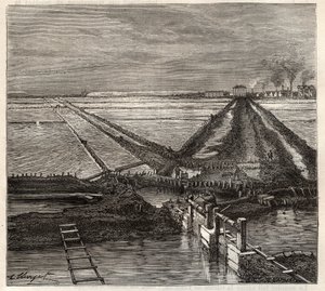 Le marais salant de Giraud en Camargue (Bouches-du-Rhône), vue prise du canal de service - gravure dans 