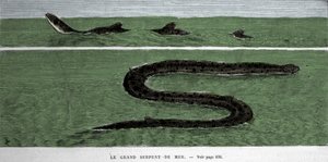 Le serpent de mer observé en 1872 dans l