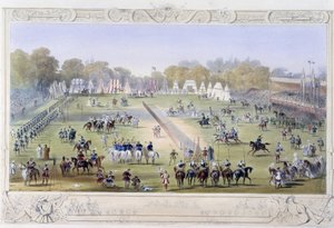 Vue d