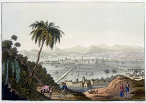 Vue de Mexico, Mexique. Dans « Le costume ancien et moderne » - Unknown artist