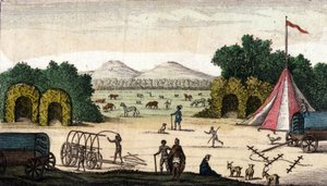 Vue d