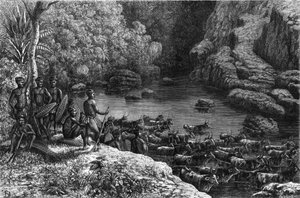 Zoulouland en Afrique : parce que la forêt n