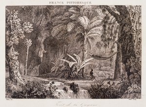 Gravure représentant la colonie française de Guyane en Amérique du Sud 1850