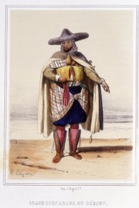 Grand chef arabe du désert pendant la seconde moitié du XIXe siècle - Unknown artist