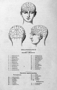 Illustration du livre de Charles Rouvin de 1873 Organographie La Tête humaine, études illustrées de phrénologie et de physionomie appliquées à des personnages célèbres Paris 1873 - Unknown artist