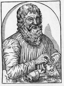 Portrait d