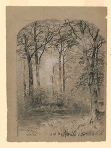 Dessin, étude de la forêt, 1865-70 - Unknown artistUnknown artist